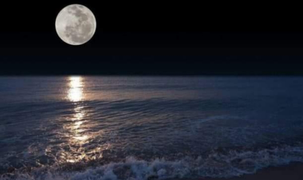 8 iunie- Ziua Mondială a Oceanului Planetar