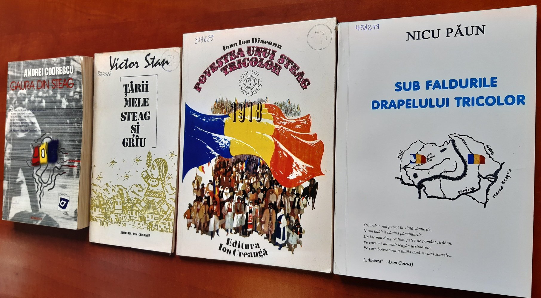 Ziua Drapelului Național al României este sărbătorită prin ilustrații la Biblioteca Astra