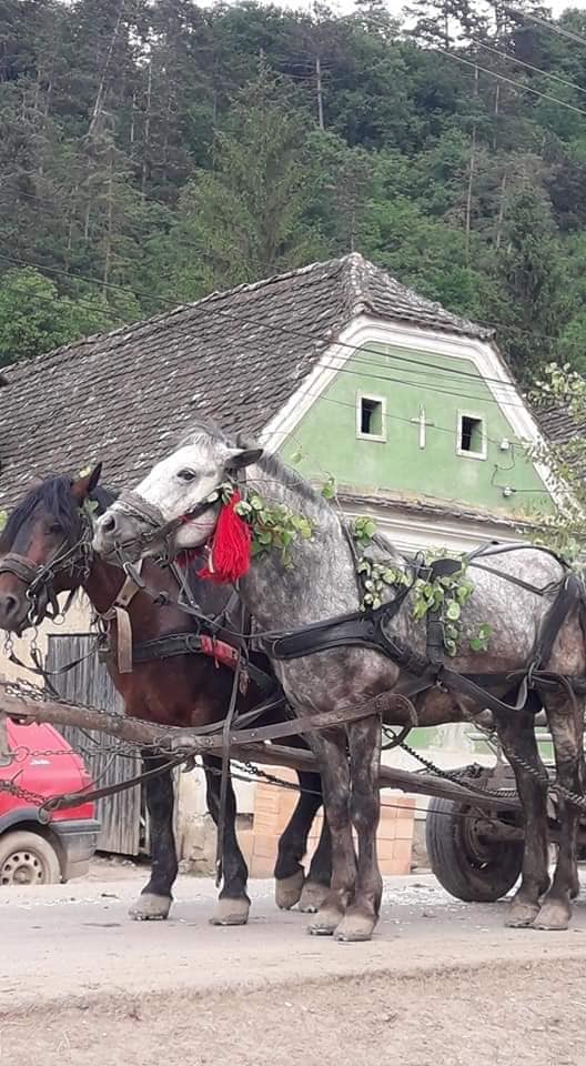 FOTO | Sărbătoarea de Armindeni- obiceiuri pentru noroc şi belşug peste an