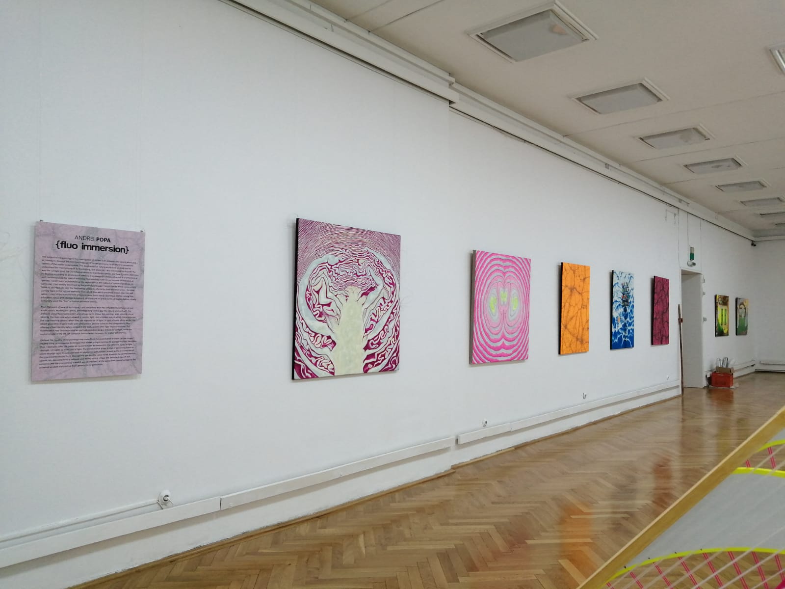 FOTO | Artistul sibian Andrei Popa va expune la Muzeul de Artă Brașov
