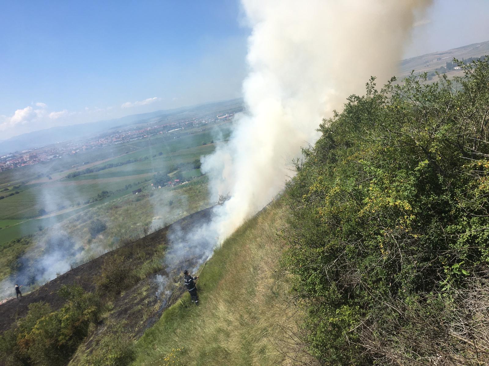 Aproximativ 2 hectare de vegetație au ars în Gușterița