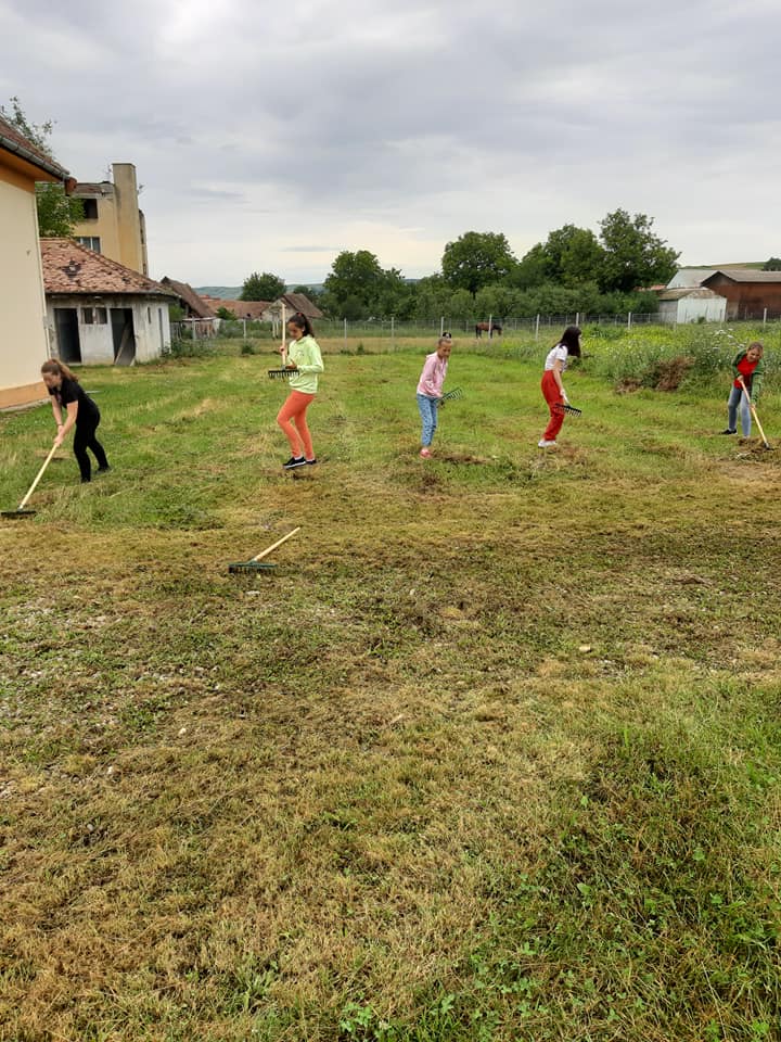 CaVARAliada, școala de vară a Cavalerilor Turnului Înclinat  