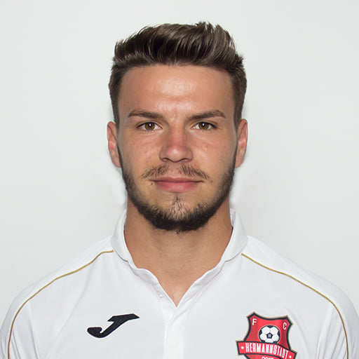 A.F.C. Hermannstadt se desparte de jucătorii Andrei Cordea și Srgian Luchin