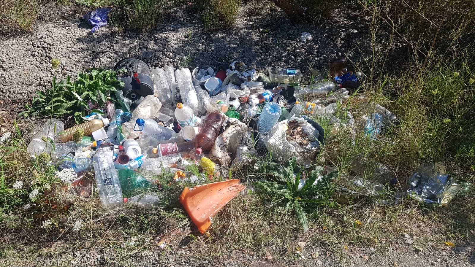 FOTO- Apel de implicare pentru ecologizarea zonei Defileul Oltului