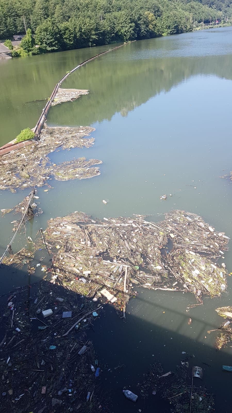 FOTO- Apel de implicare pentru ecologizarea zonei Defileul Oltului