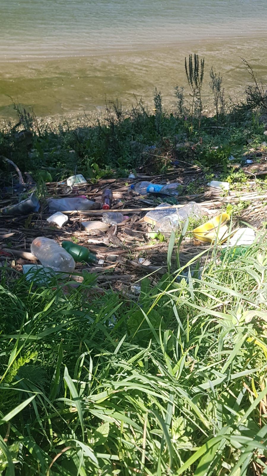 FOTO- Apel de implicare pentru ecologizarea zonei Defileul Oltului