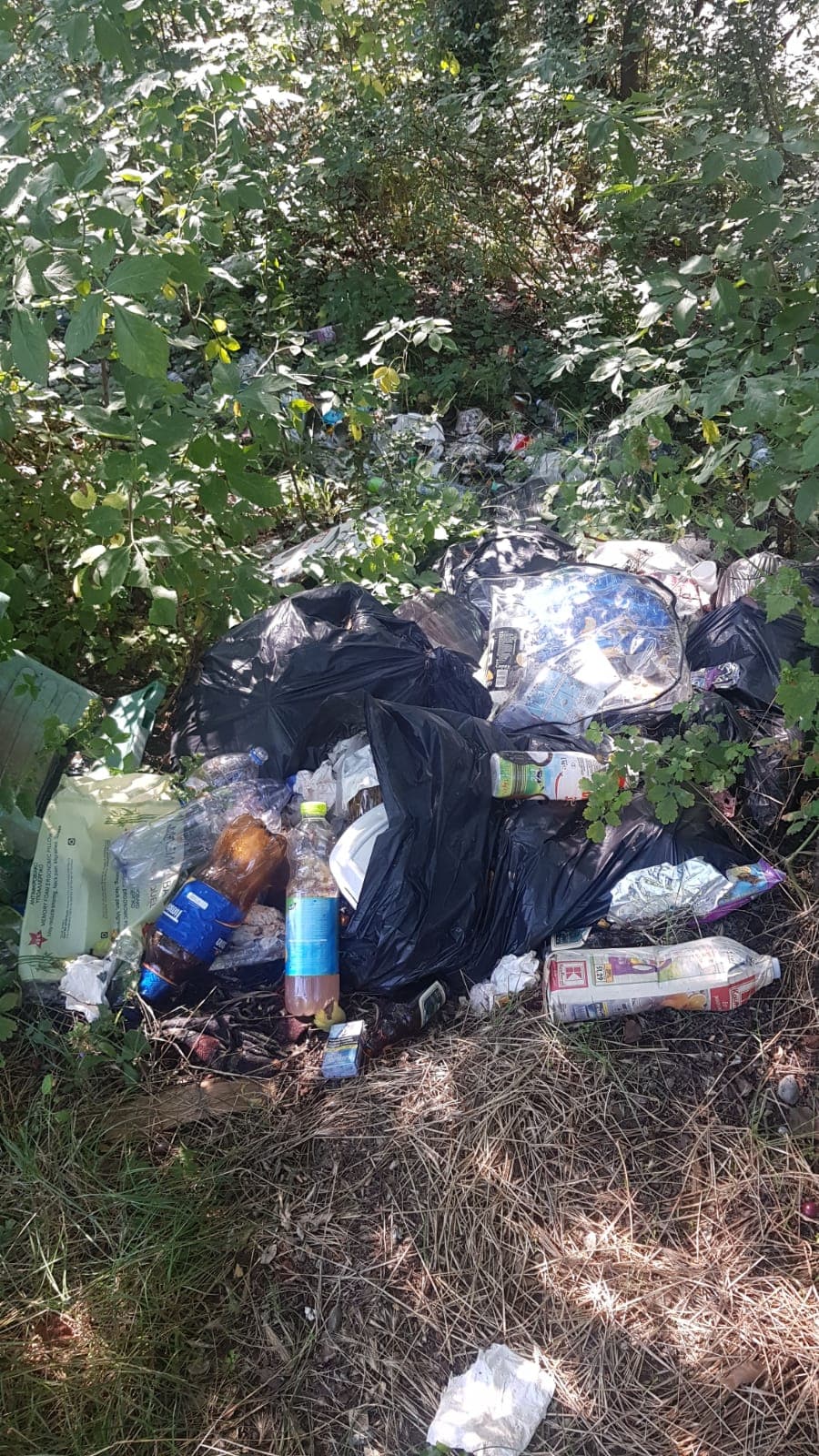 FOTO- Apel de implicare pentru ecologizarea zonei Defileul Oltului