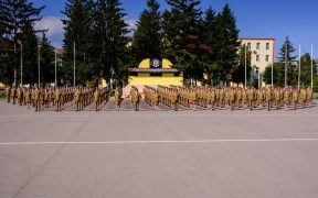 Activități dedicate zilei de 25 octombrie, Ziua Armatei României