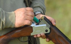 Armă neletală, deținută fără drept de un sibian