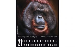 Fotografiile artiștilor din 60 de țări vor fi expuse la Salonul Internațional de Artă Fotografică