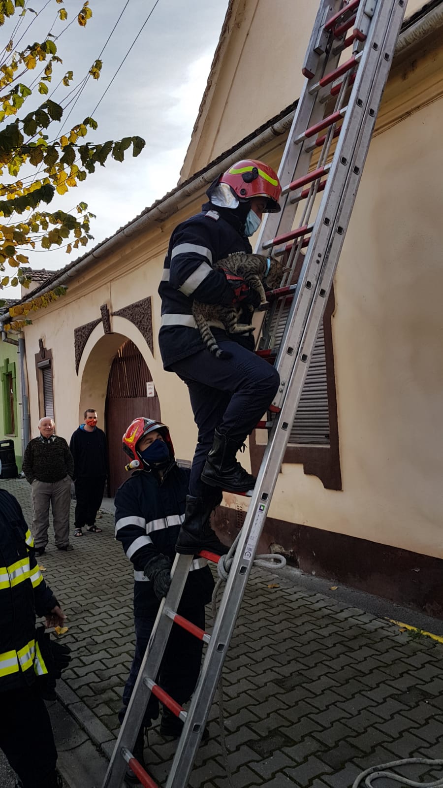 ISU Sibiu – 61 de misiuni în ultimele 24 de ore