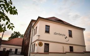 Teatrul pentru Copii și Tineret „Gong” Sibiu sărbătorește Ziua Internațională a Drepturilor Copilului