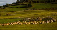 Grupul de lucru pentru Mărginimea Sibiului, întâlnire online în cadrul proiectului RAMSAT-Interreg Europe