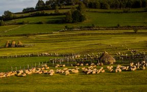 Grupul de lucru pentru Mărginimea Sibiului, întâlnire online în cadrul proiectului RAMSAT-Interreg Europe