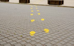 Vă aducem la cunoștință că Muzeul ASTRA, instituție ale cărei acțiuni sunt posibile prin finanțarea Consiliului Județean Sibiu, va rămâne închis în perioada cu care s-a prelungit carantina în Sibiu, adică până în data de 14.12.2020.