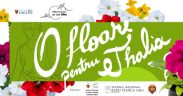 Flori în loc de bilete la Filarmonica Sibiu