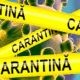 Medieșean, sancționat cu 1000 de lei pentru nerespectarea măsurii carantinării