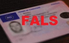 IPJ Sibiu: A ieșit la plimbare cu permis fals asupra lui