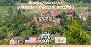 Acțiune de ecologizare și plantare pomi fructiferi în cadrul proiectului REVEAL Alma Vii