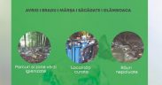 Campanie de ecologizare organizată în Săcădate, Avrig, Bradu, Mârșa și Glâmboaca