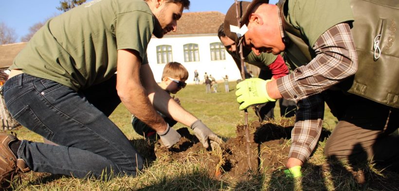 Peste 50 de persoane au participat la acțiunea de ecologizare și plantare pomi fructiferi în cadrul proiectului REVEAL Alma Vii
