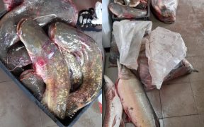 Dosar de cercetare privind săvârșirea infracțiunilor de pescuit comercial fără licență