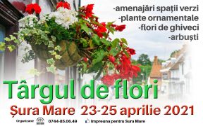 Tărg de Flori la Șura Mare
