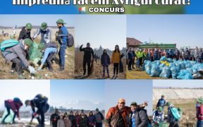 În preajma sărbătorilor pascale, Primăria Orașului Avrig dă startul unui concurs