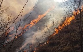 ISU Sibiu face apel la cetăţeni să respecte măsurile specifice de prevenire a incendiilor