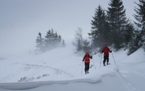 Grupul de lucru pentru  Mărginimea Sibiului , întâlnire online în cadrul proiectului RAMSAT-Interreg Europe