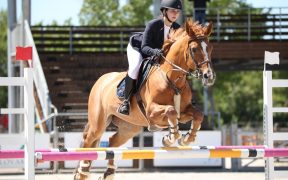 VIDEO- Team Bucur a cucerit podiumul competiției ecvestre, organizate în Slovacia