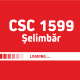 Viitorul Șelimbăr a cesionat locul în liga a II-a pentru CSC 1599 Șelimbăr