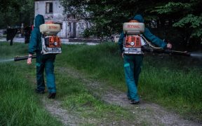 Primăria Sibiu desfășoară o nouă acțiune de dezinsecție împotriva căpușelor și a țânțarilor