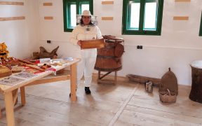 Atelier de extragere a mierii din faguri la Muzeul ASTRA