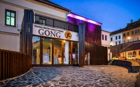 Pinocchio încheie un maraton cu 67 de evenimente organizate în luna iunie, la Teatrul „Gong”  
