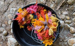 Muzeul ASTRA vă invită la atelierul de vopsire naturală a lânii