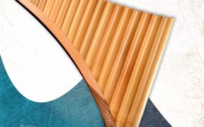 Filarmonica de Stat Sibiu celebrează 300 de ani de la nașterea baronului Samuel von Brukethal