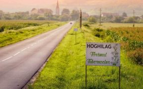 Tuberoza de Hoghilag, prima floare din România şi a treia din Europa protejată la nivel european