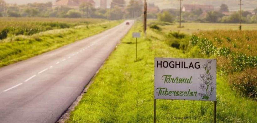 Tuberoza de Hoghilag, prima floare din România şi a treia din Europa protejată la nivel european