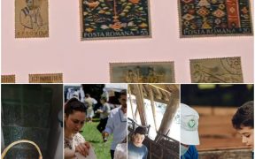Află oferta educațională a Muzeului ASTRA pentru această săptămână