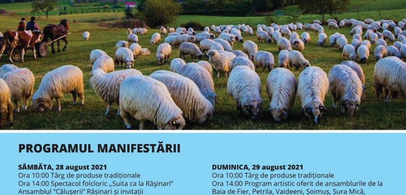 Doar câteva zile ne mai despart de aniversarea majoratului Festivalului Brânzei și al Țuicii din Rășinari