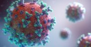 Niciun caz de coronavirus în China