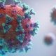 Niciun caz de coronavirus în China