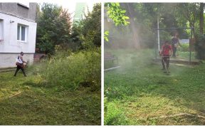 Primăria Mediaș tunde iarba din jurul blocurilor