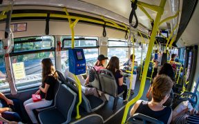 trasee de transportul public