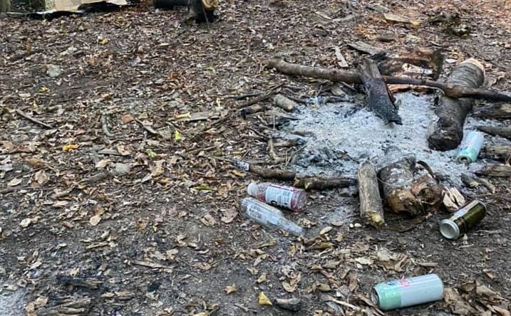 FOTO Pădurile din Mediaș, sufocate de gunoaie - Primarul Mediașului: ”Regret mult că avem astfel de oameni” FOTO Pădurile din Mediaș, sufocate de gunoaie - Primarul Mediașului: ”Regret mult că avem astfel de oameni”