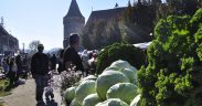 Festivalul Verzei de la Moșna a fost anulat