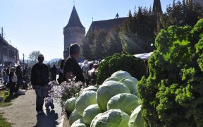 Festivalul Verzei de la Moșna a fost anulat