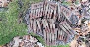 aproximativ 50 de cartușe de infanterie, calibru 7,62 mm, provenite din cel de-al doilea război mondial