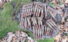 aproximativ 50 de cartușe de infanterie, calibru 7,62 mm, provenite din cel de-al doilea război mondial
